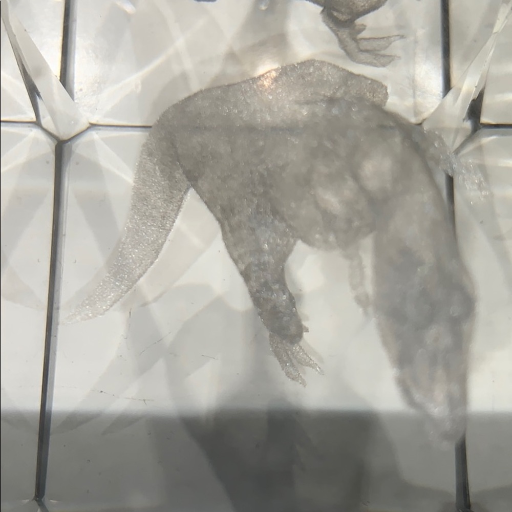 Glass Dinosaur - Picture 2 of 4